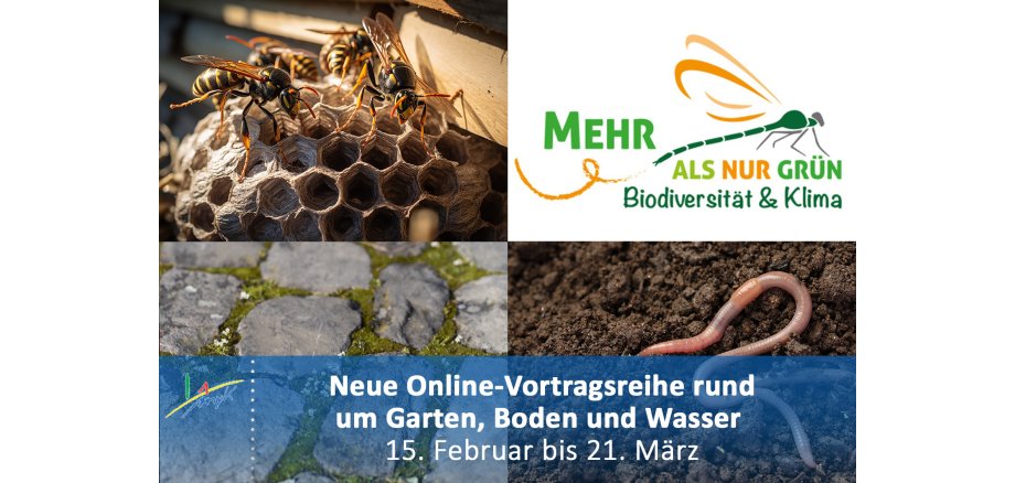 Neue kostenlose Online-Vortragsreihe rund um Garten, Boden und Wasser 