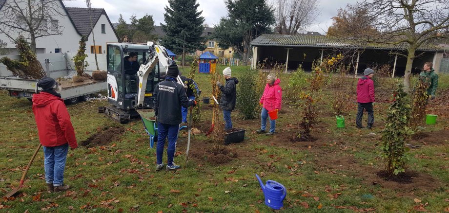 In der Katholischen Kindertagesstätte St. Martin in Ochtendung haben Erzieher, Eltern und Projektbeteiligte rund 40 Bäume und Sträucher gepflanzt. 