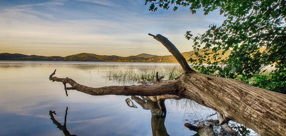 Der Laacher See ist das größte Naturschutzgebiet im nördlichen Rheinland-Pfalz und ein wichtiges Vogelschutzgebiet. Er ist das Zuhause vieler seltener Tier- und Pflanzenarten. Damit das so bleibt, ist es wichtig, die Bestimmungen des Naturschutzes bei einem Besuch einzuhalten. 