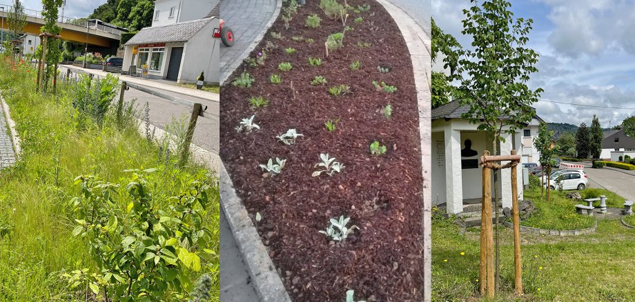 Die Beete in Brodenbach und Kobern-Gondorf wurden im Rahmen des Projektes „Grüne Stadt - Grünes Dorf“ begrünt.