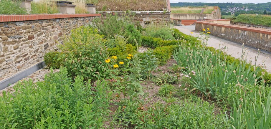 Gartenkulturen von Steinzeit bis Mittelalter erleben 