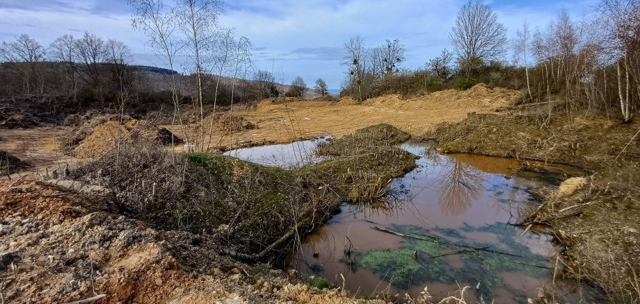 Durch die Baggerarbeiten zur Freistellung sieht das Gelände der alten Kiesgrube am Kieselberg bei Rhens noch wie ein lebensfeindlicher Zustand aus, aber durch die Naturschutzmaßnahmen wird der Weg in ein artenreiches Ökosystem geebnet. 